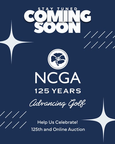 125th Anniversary Auction Teaser 1