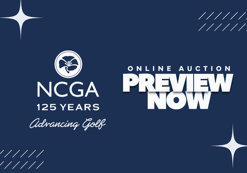 125th Preview Now Email 500x350