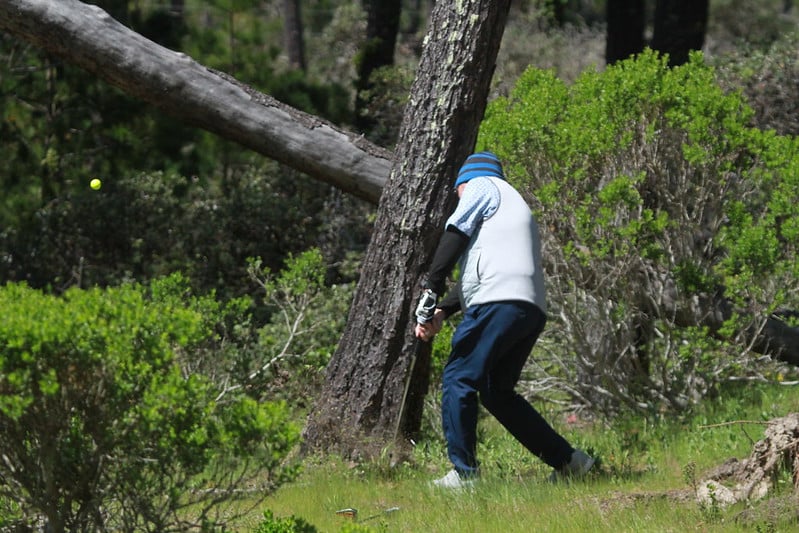 Golfer forest