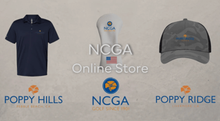 Screenshot 2025-11-10 164226